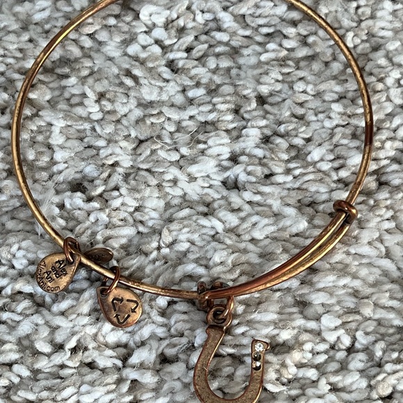 Alex and Ani charm bangles set of 9 - Picture 10 of 11